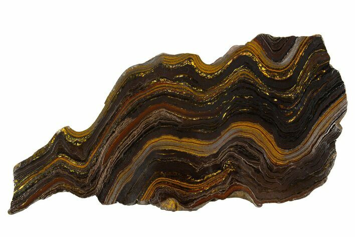 Polished Tiger Iron Stromatolite Slab - Billion Years #314308